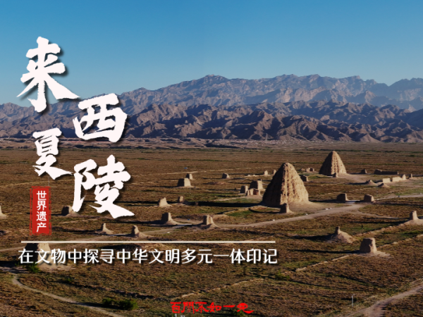 天创网  百闻不如一见｜来西夏陵，在文物中探寻中华文明多元一体印记
